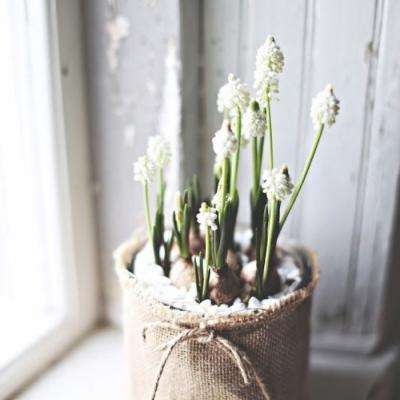 全民彩票app官网版下载